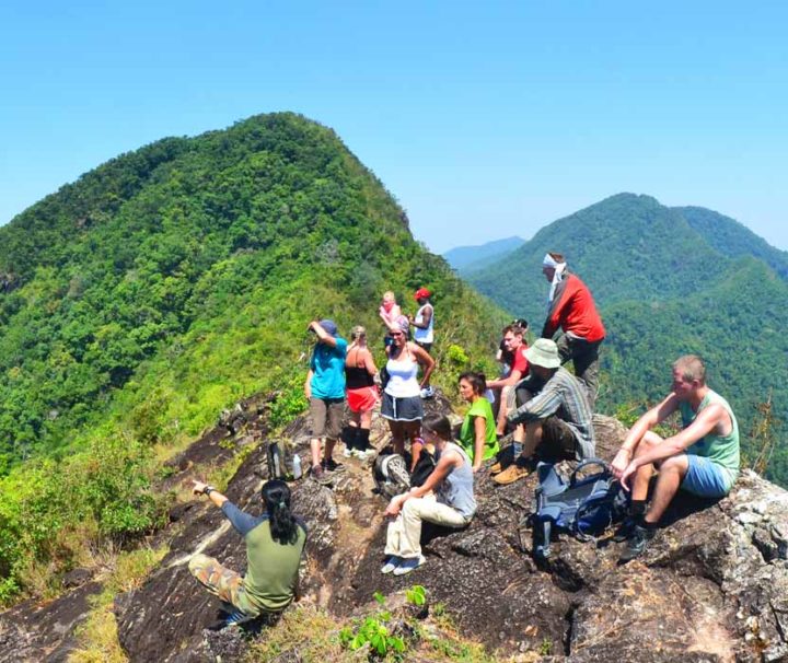 dschungel tour koh chang